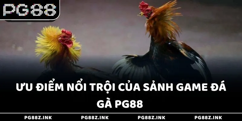 Ưu điểm nổi trội của sảnh game đá gà PG88